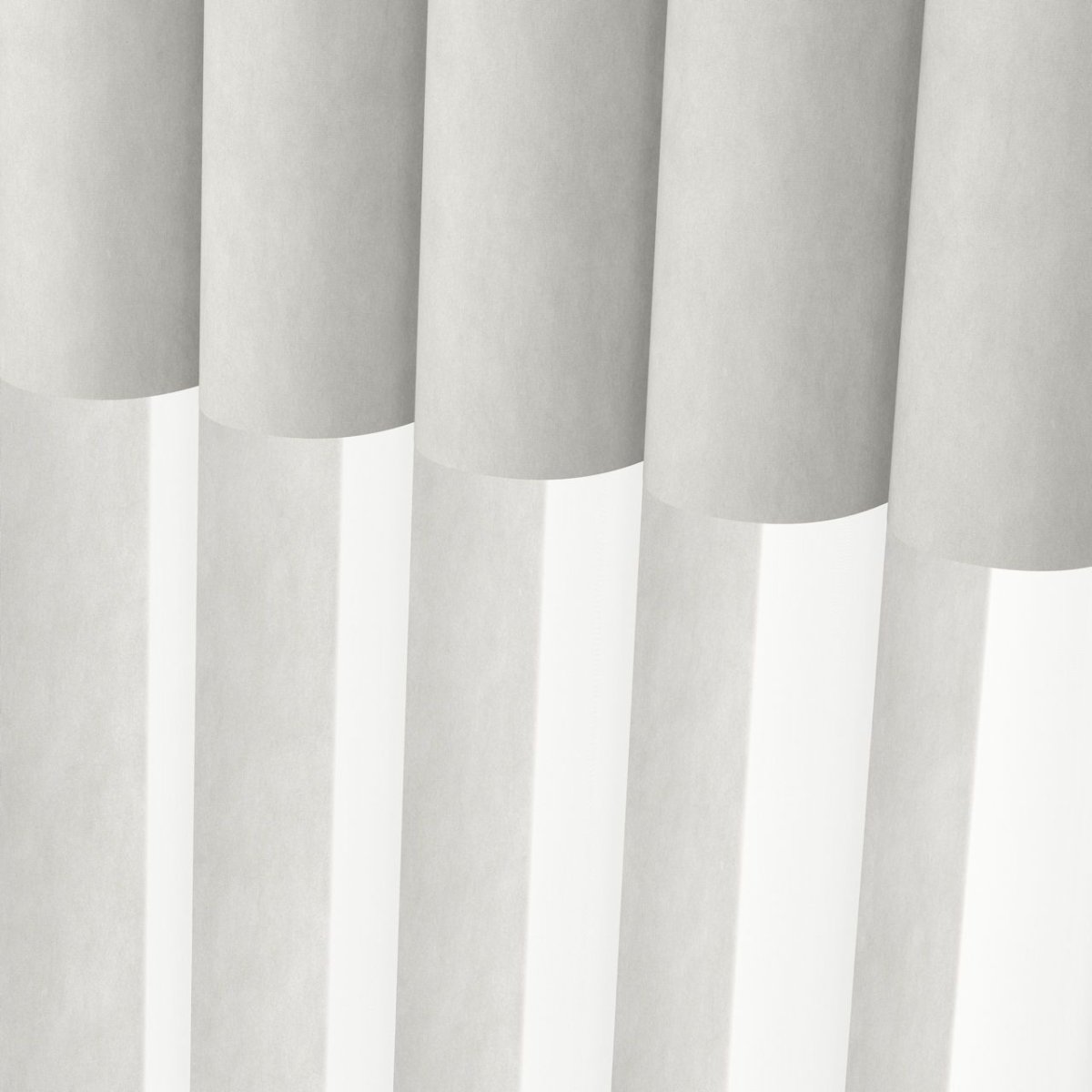 Turtledove - Image 3