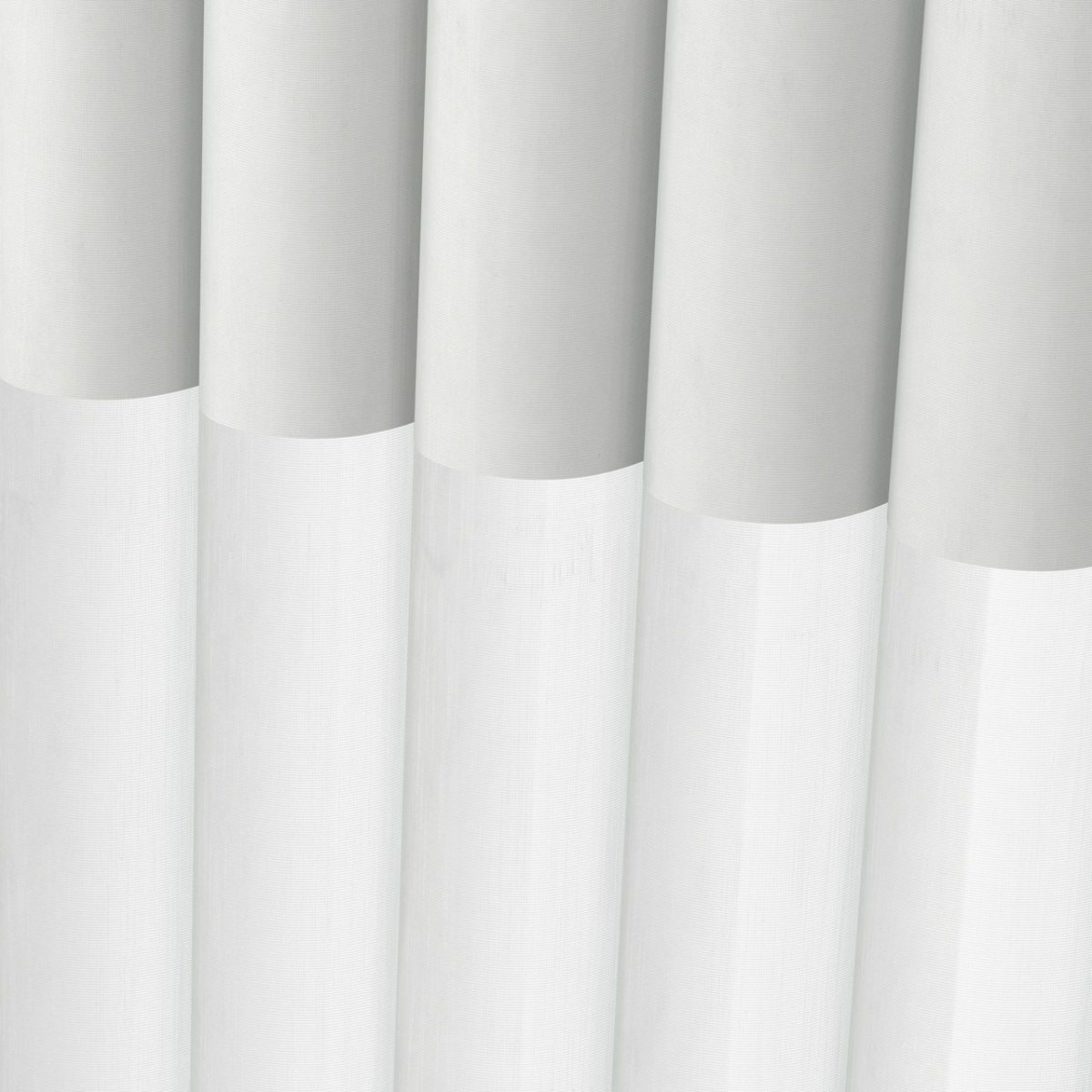 Winter Frost - Image 3