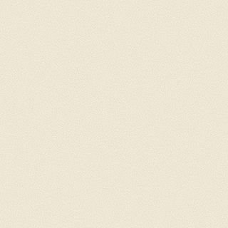 Palm Beach™ Polysatin™ Vinyl Shutters