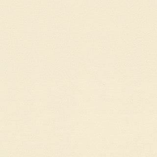 Designer White - Image 1