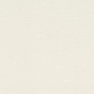 Steamed Vanilla - Image 1