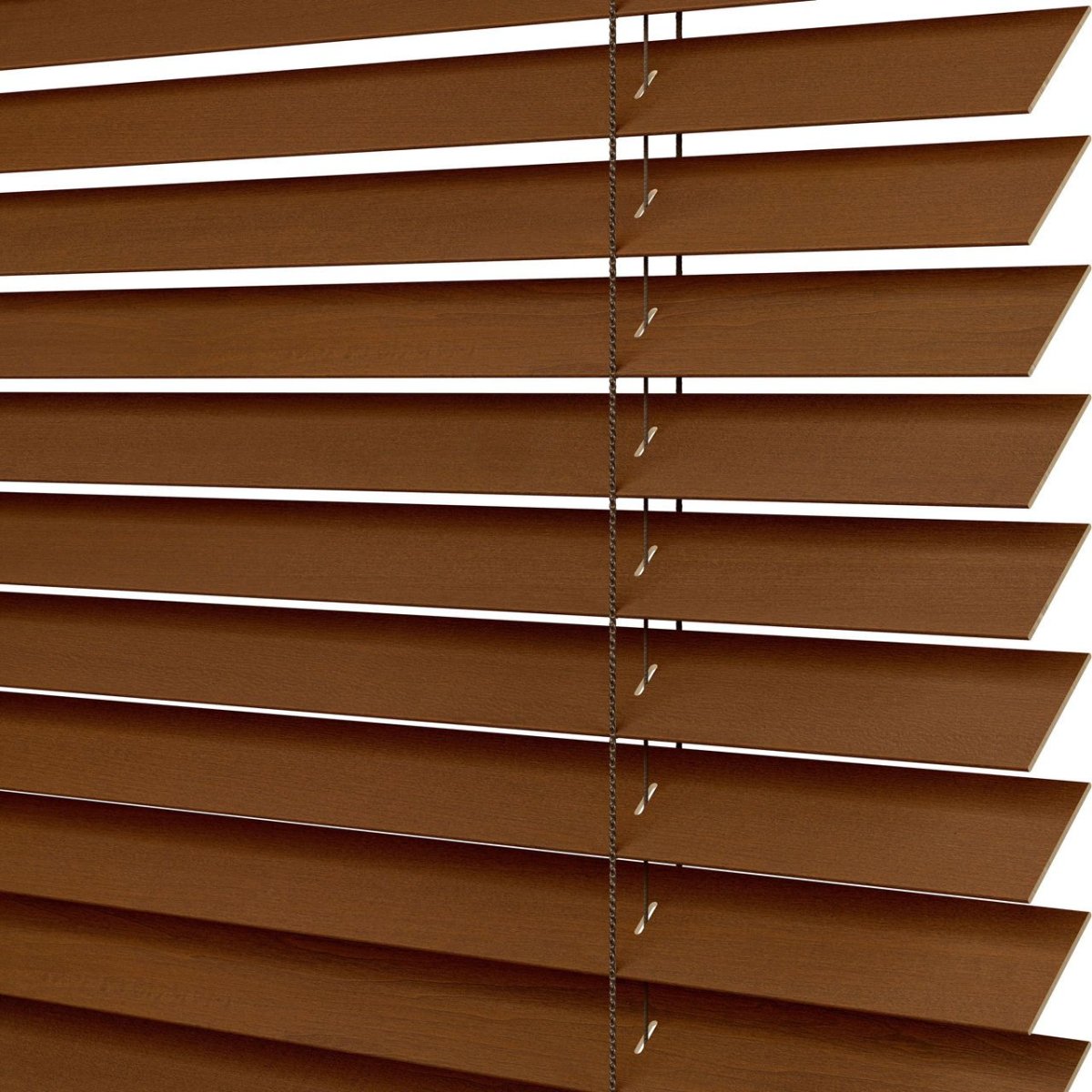 Thoroughbred - Image 3