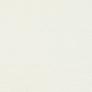 Vivid White - Image 1