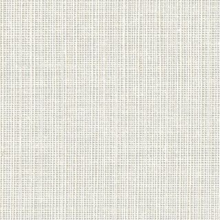 Daisy White - Image 1