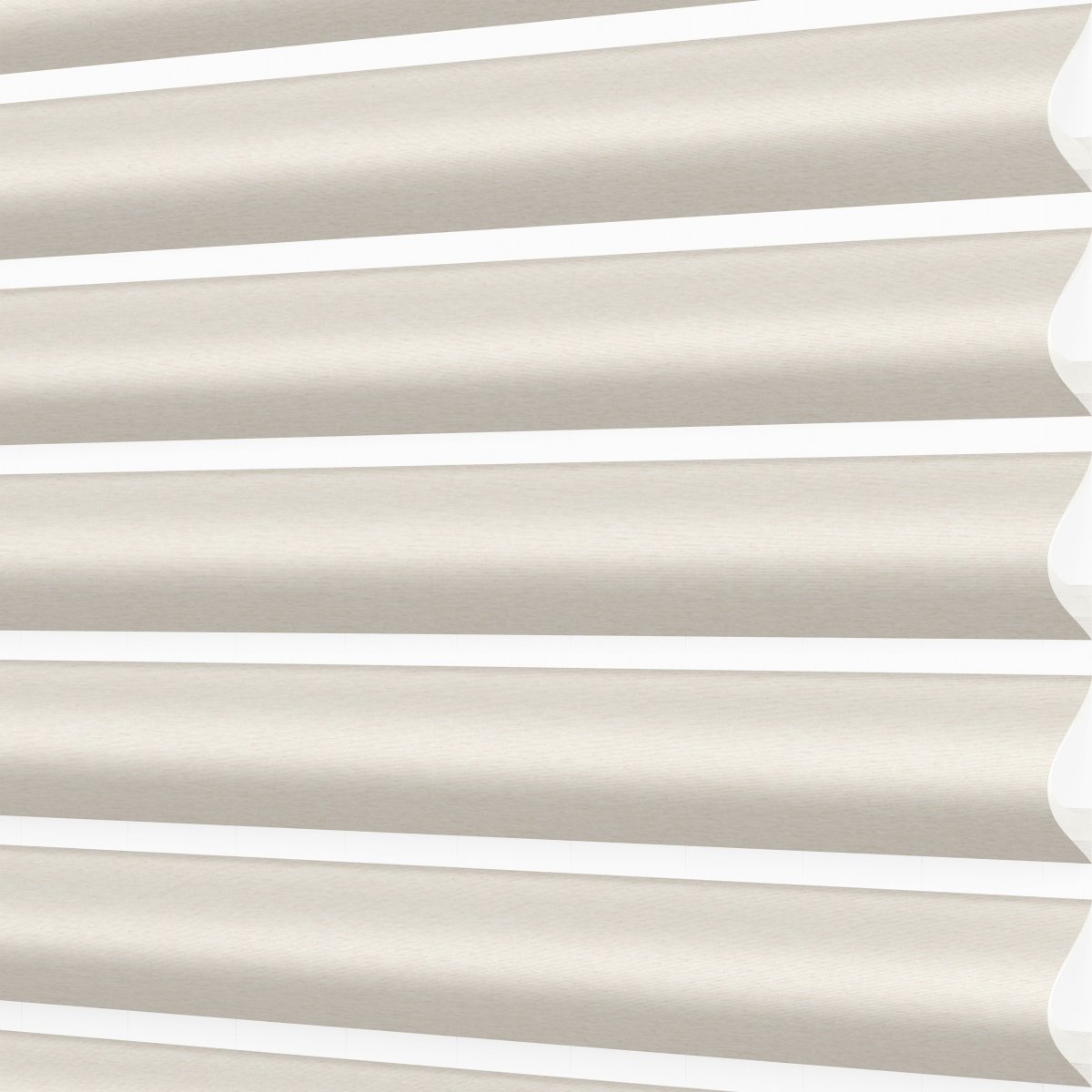 Ivory Pearl - Image 3