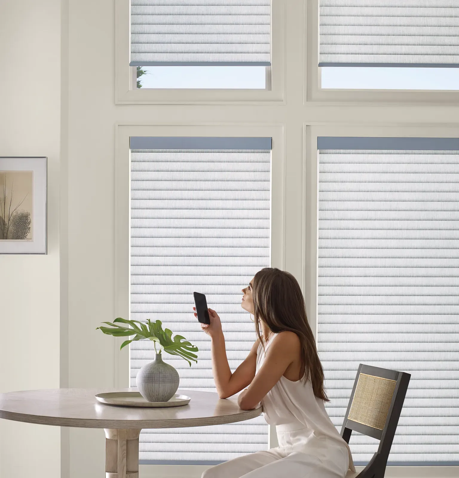 Product Image for Motorized Window Coverings