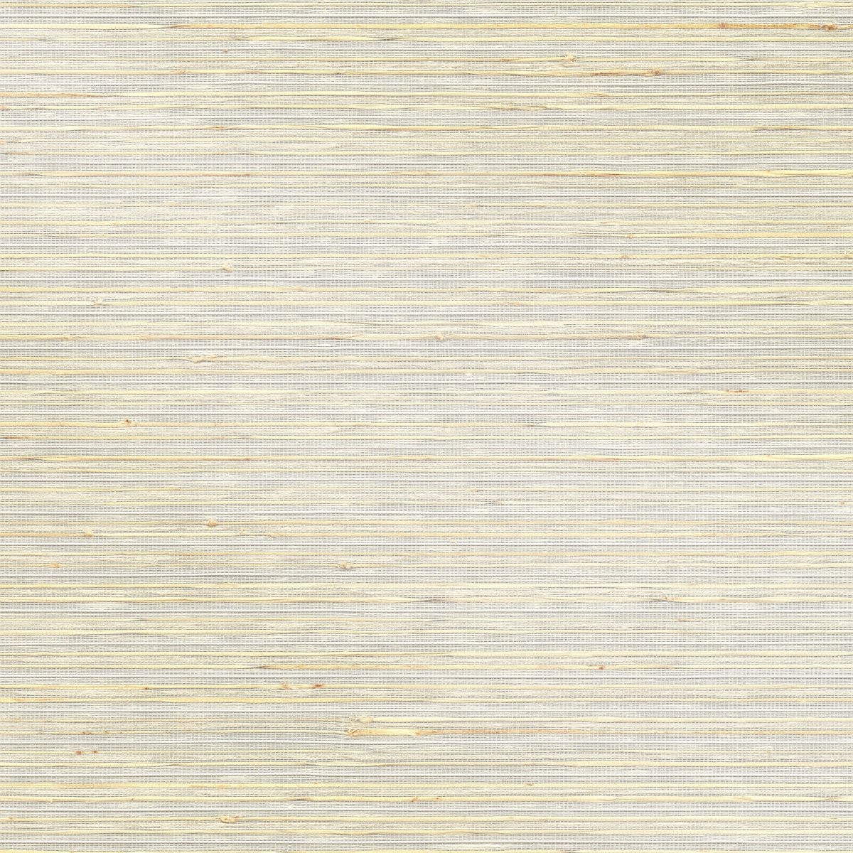 Calla Lily - Image 3