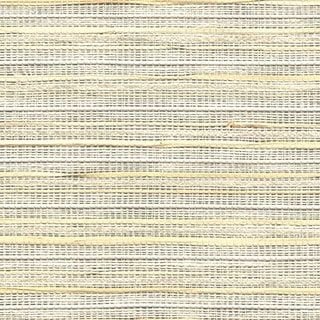 Calla Lily - Image 1