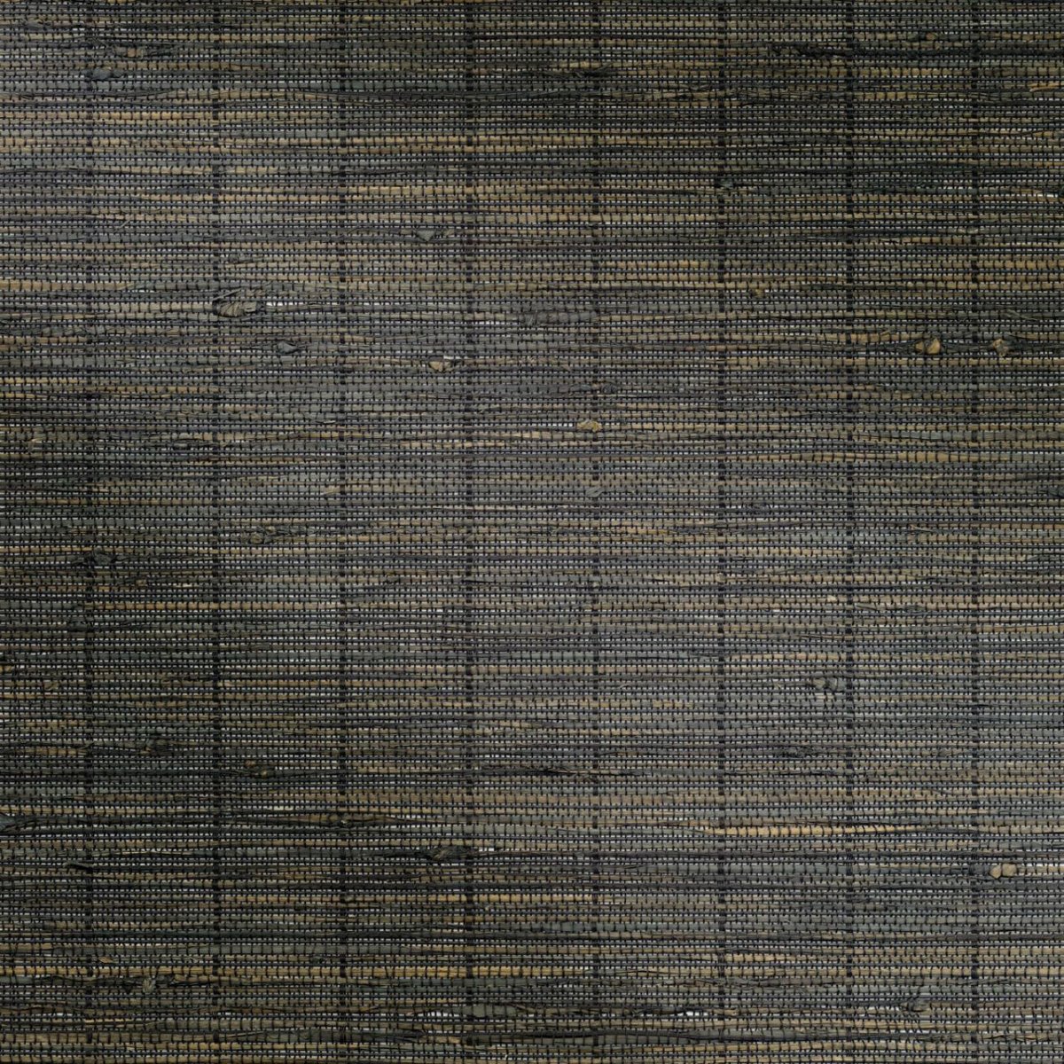 Charred Wood - Image 3