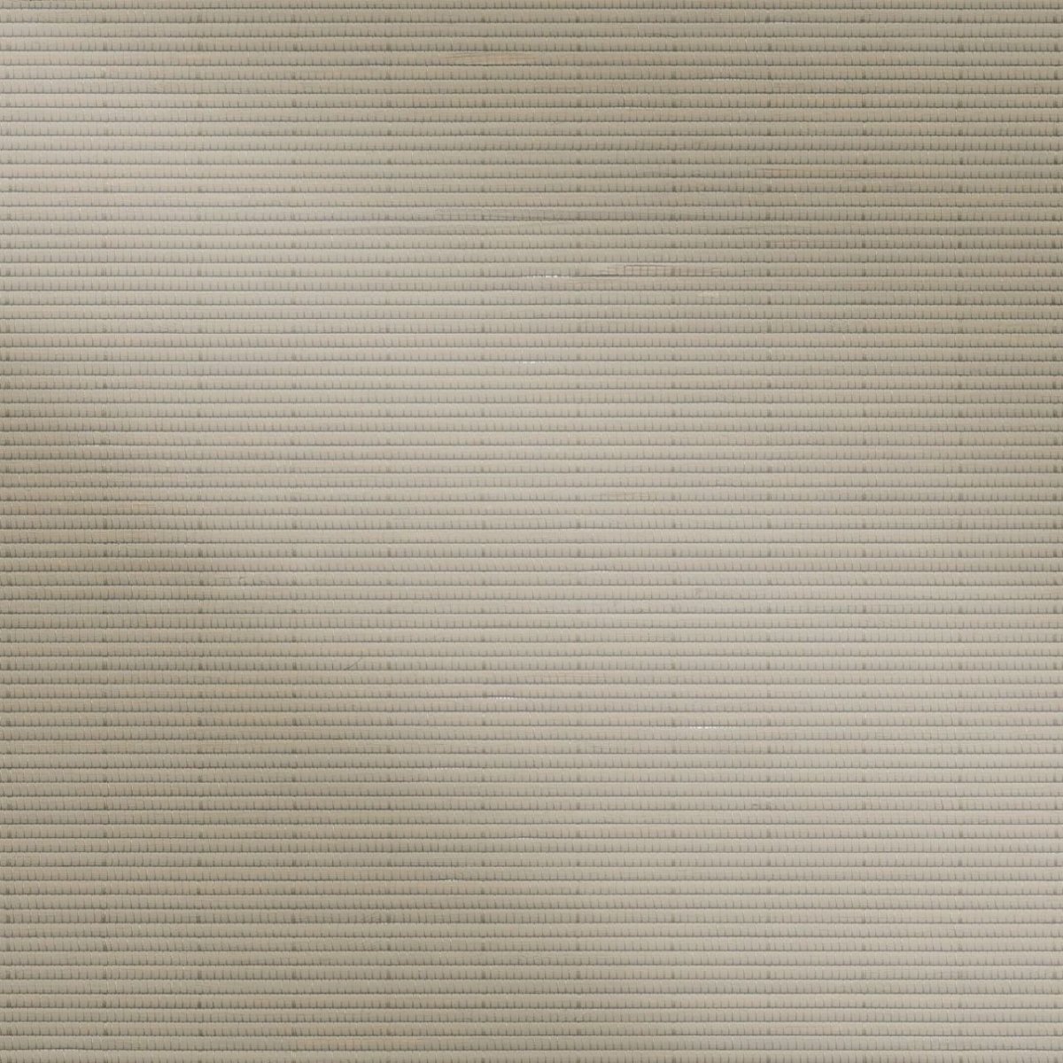 Dune Grass - Image 3