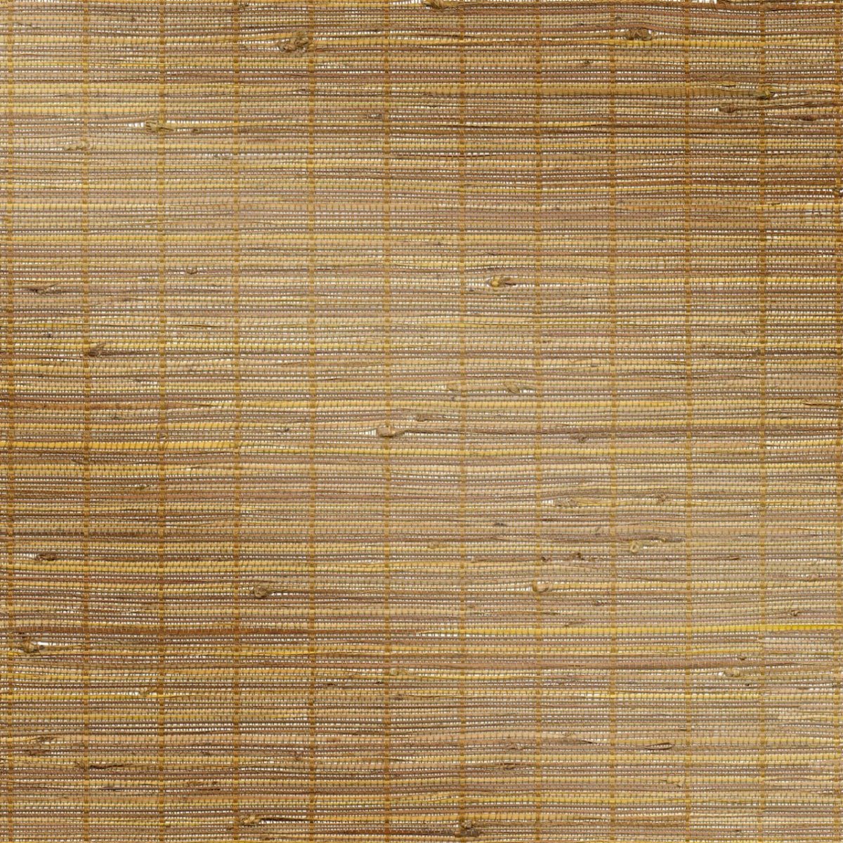 Garden Path - Image 3