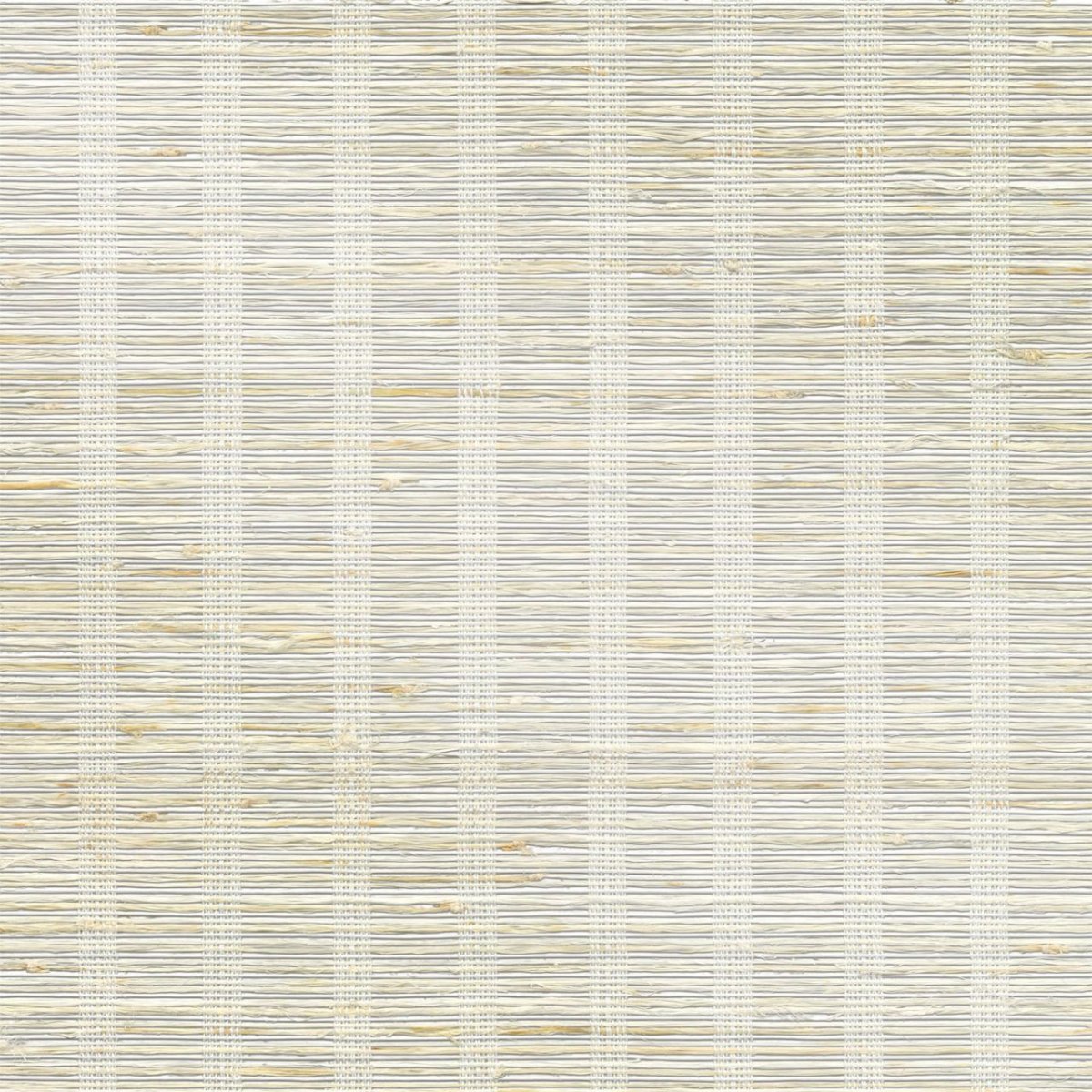 Heirloom Cotton - Image 3