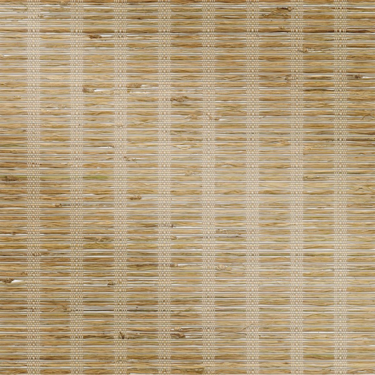 Lantern Glow - Image 3