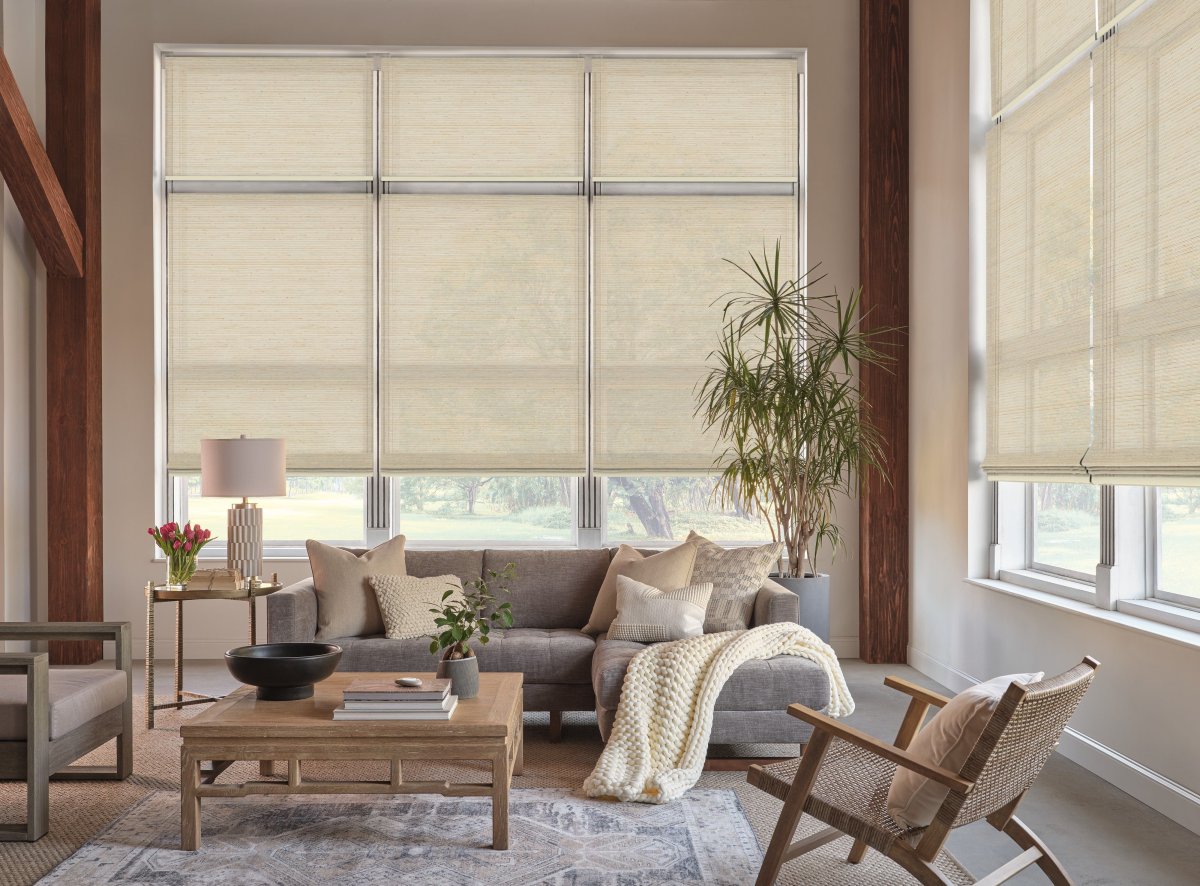 Olive Tree - Image 2