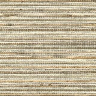 Olive Tree - Image 1