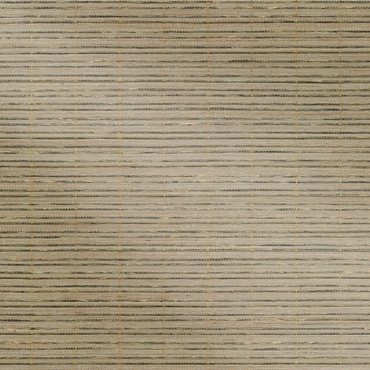 Oyster Shell - Image 3