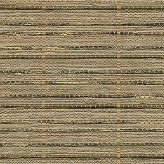 Oyster Shell - Image 1