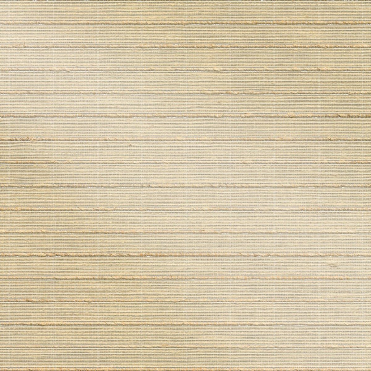 Playa Grande - Image 3