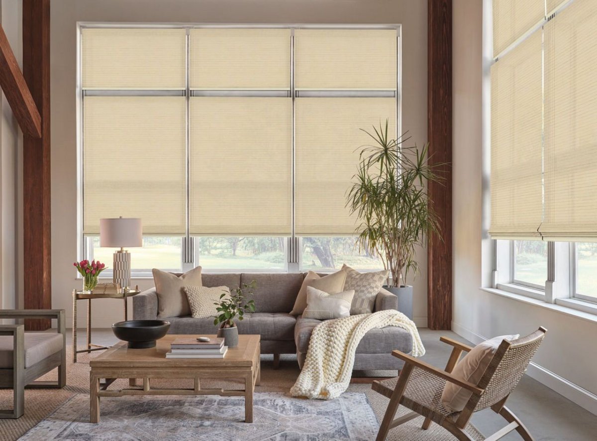 Playa Grande - Image 2