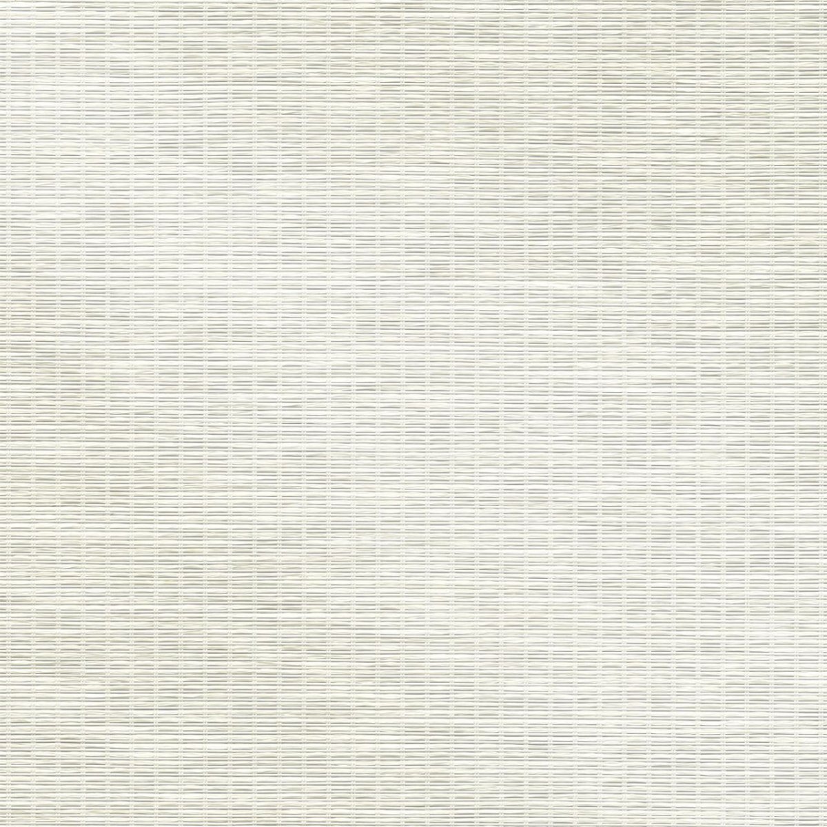 Pure White - Image 3