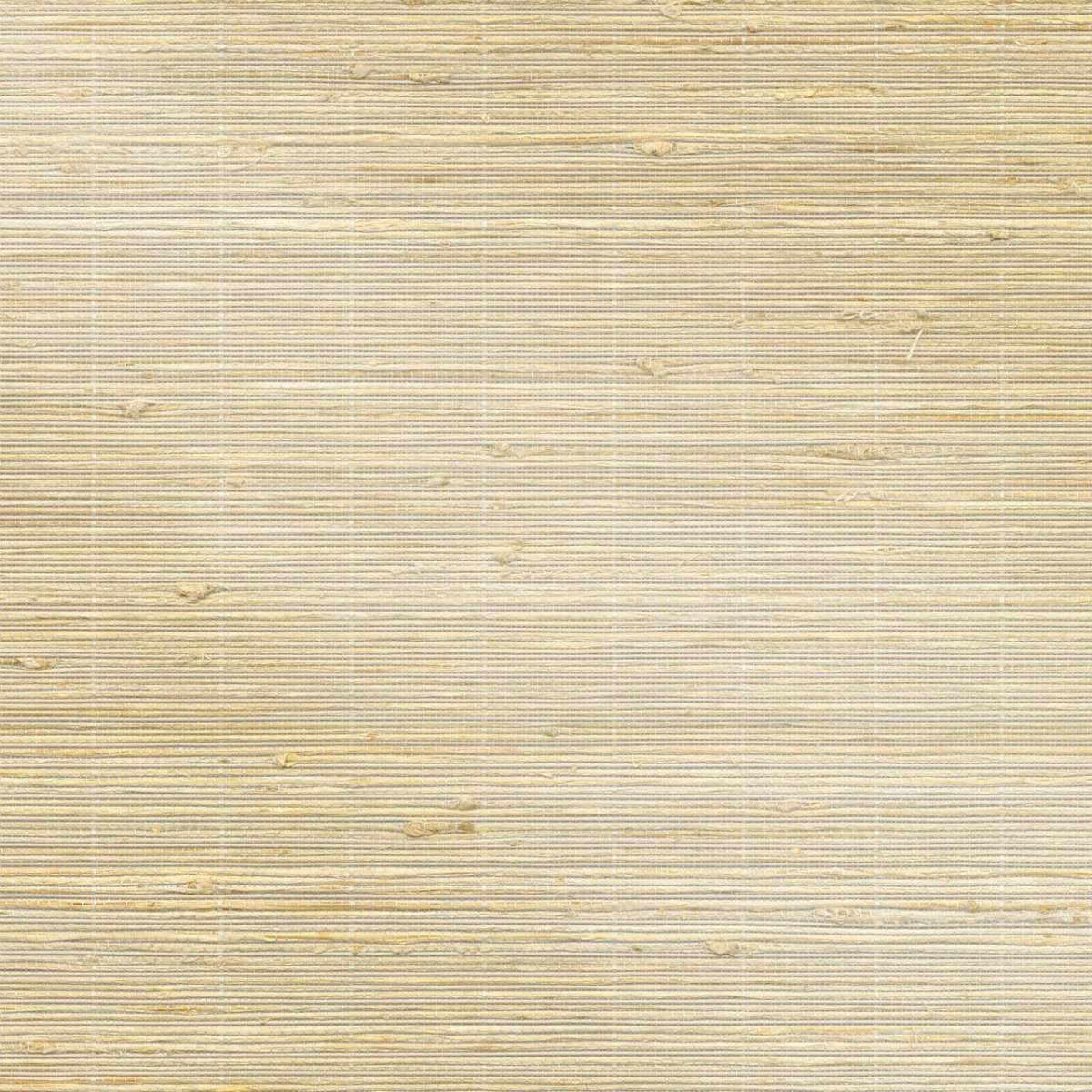 Raw Cotton - Image 3