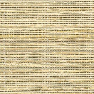 Raw Cotton - Image 1