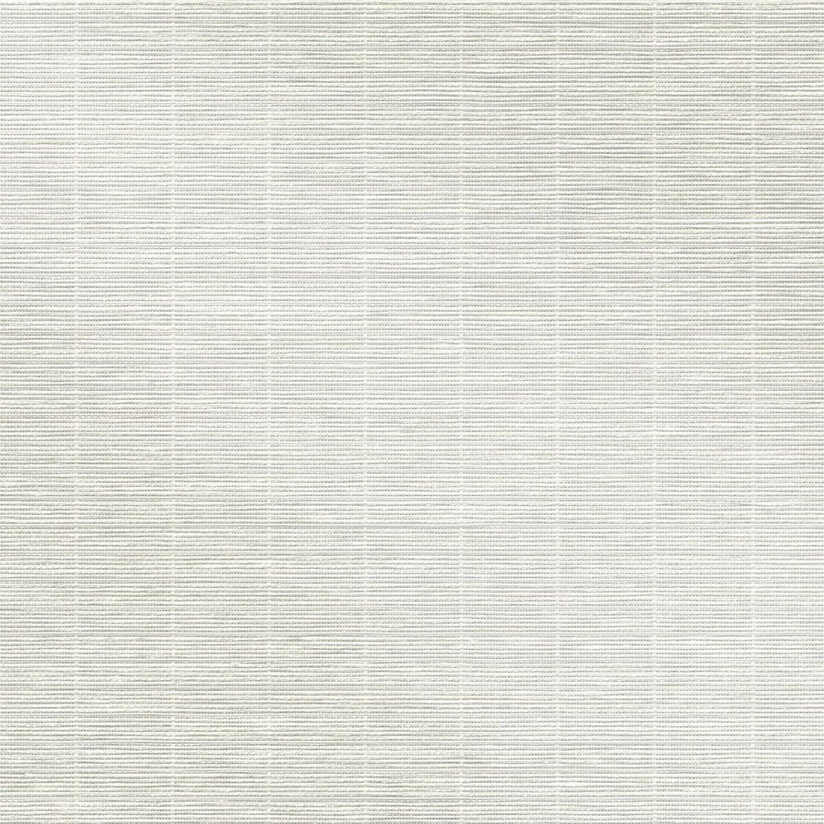 White Birch - Image 3