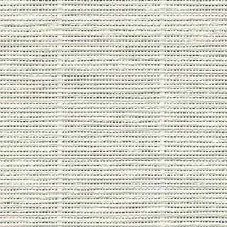 White Birch - Image 1