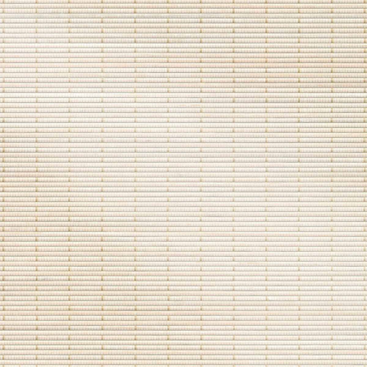 White Sands - Image 3