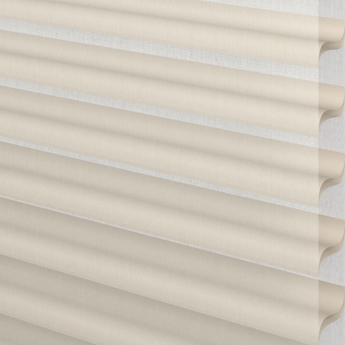 Birch Bark - Image 3