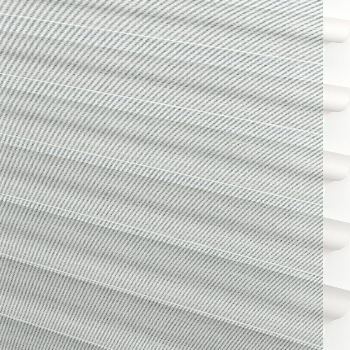 Blue Agave - Image 3