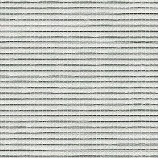 Blue Agave - Image 1