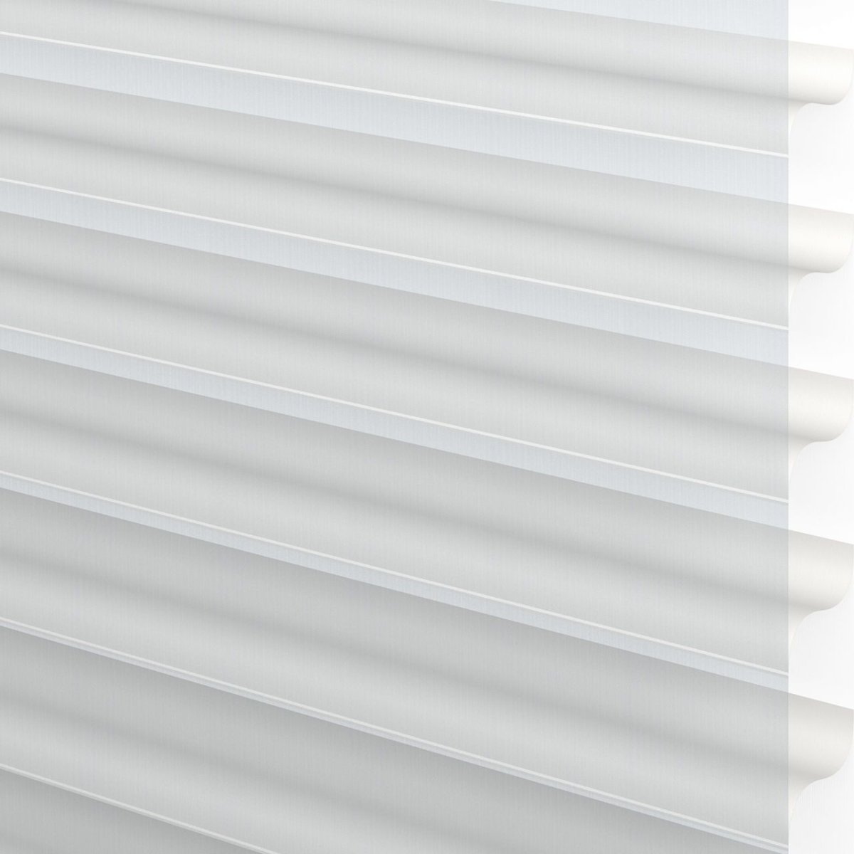 Bluebird Day - Image 3