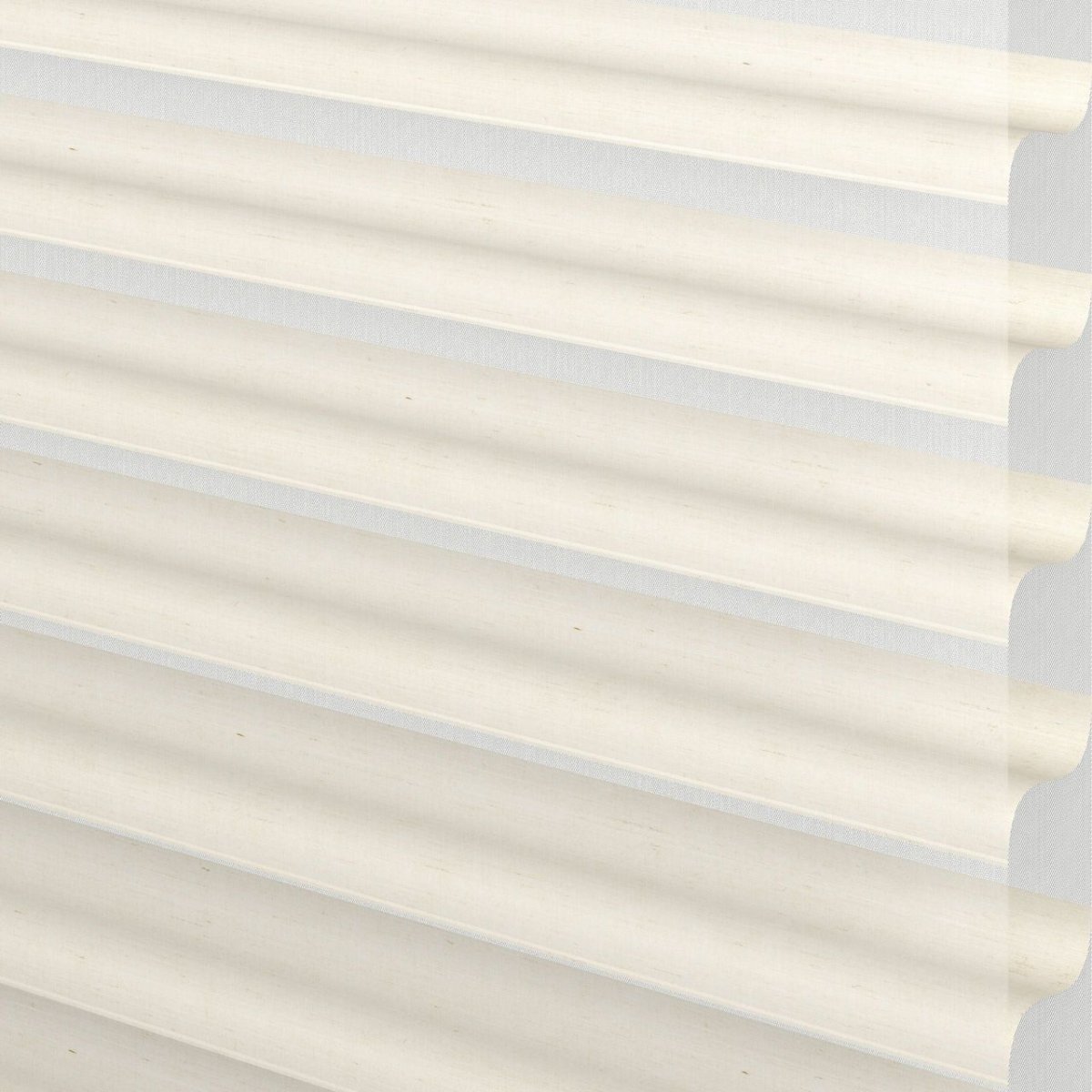 Candied Coconut - Image 3