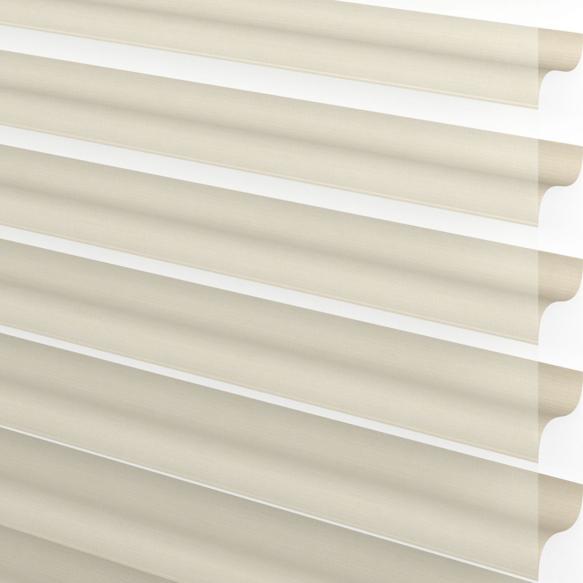 Celery Seed - Image 3