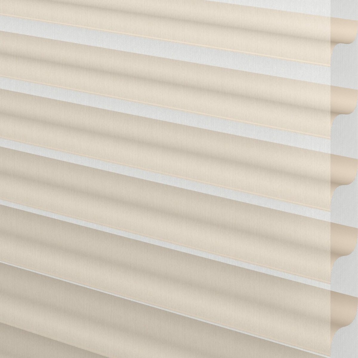 Feather Fantasy - Image 3