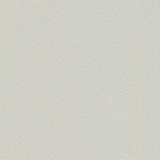 Forest Mist - Image 1