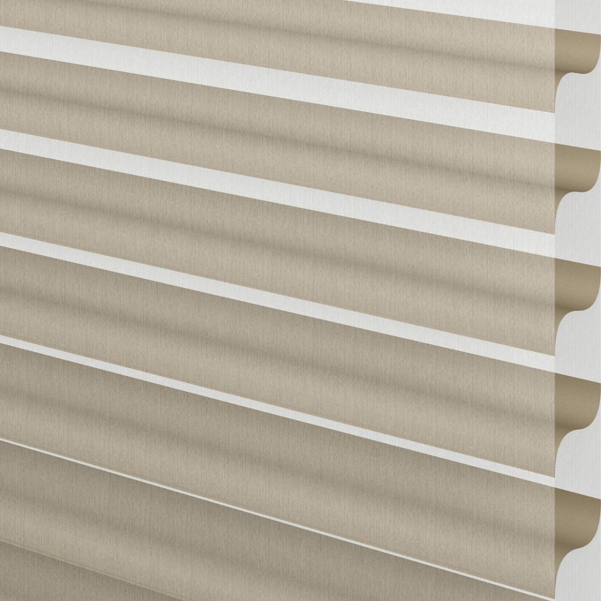 Hickory Ash - Image 3