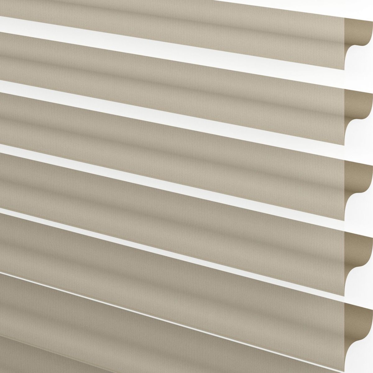 Hickory Ash - Image 3