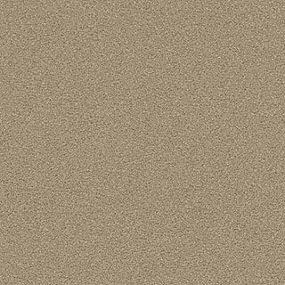 Hickory Ash - Image 1