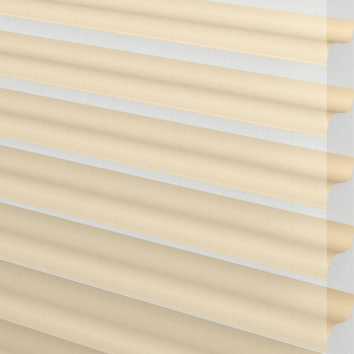 Honey Beige - Image 3