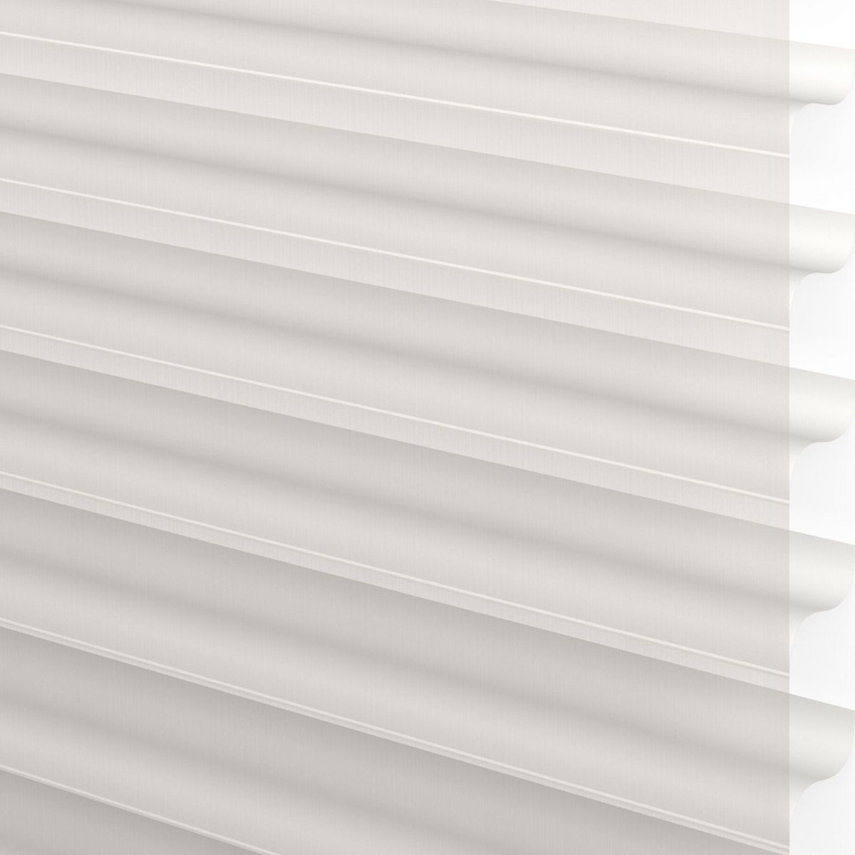 Oystershell - Image 3