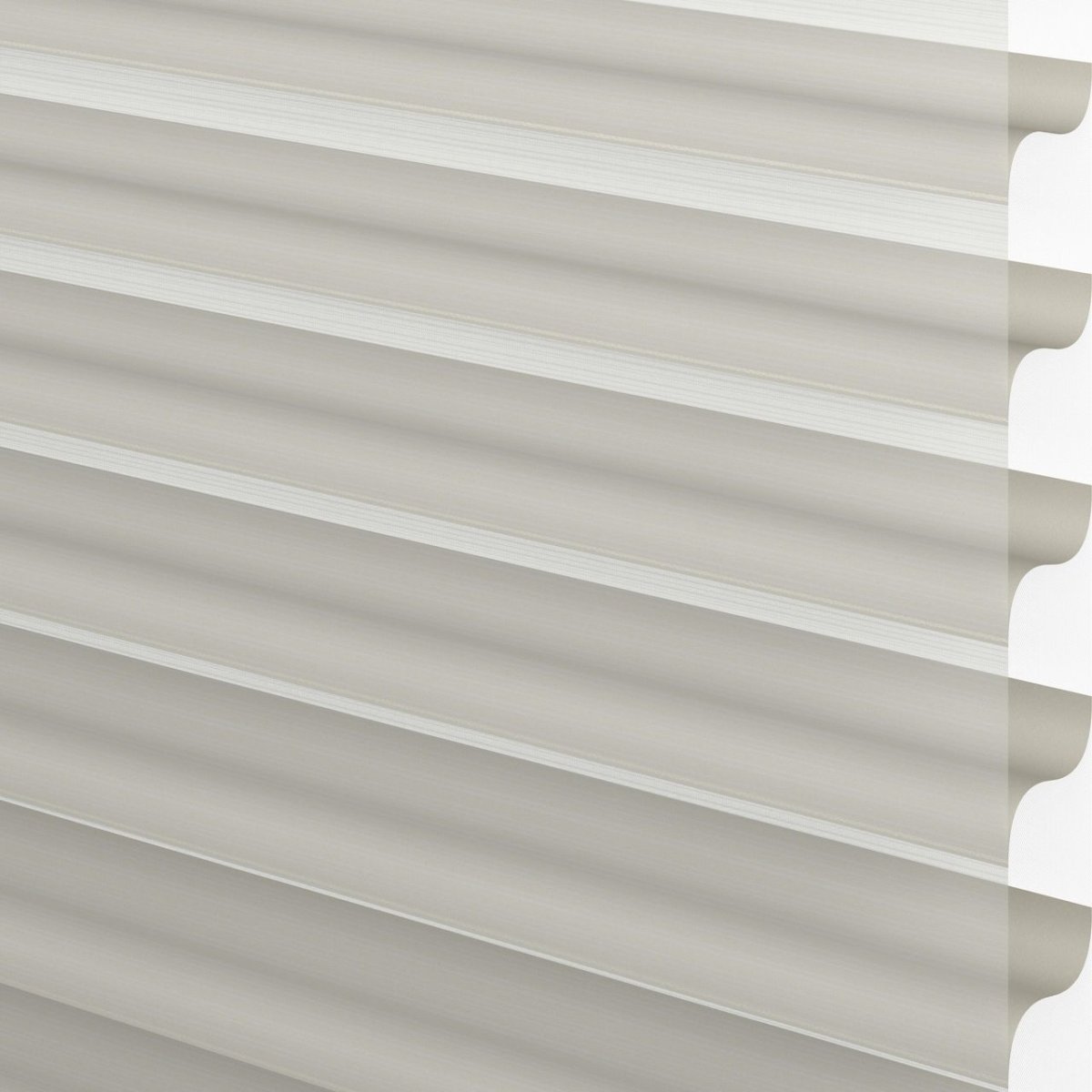 Silver Shine - Image 3