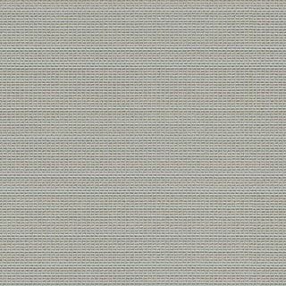 Silver Shine - Image 1