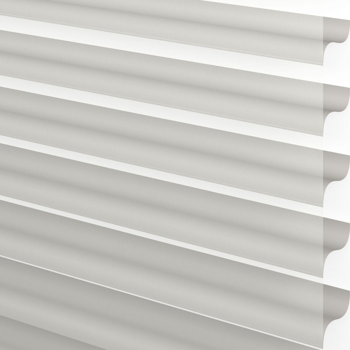 Turtledove - Image 3