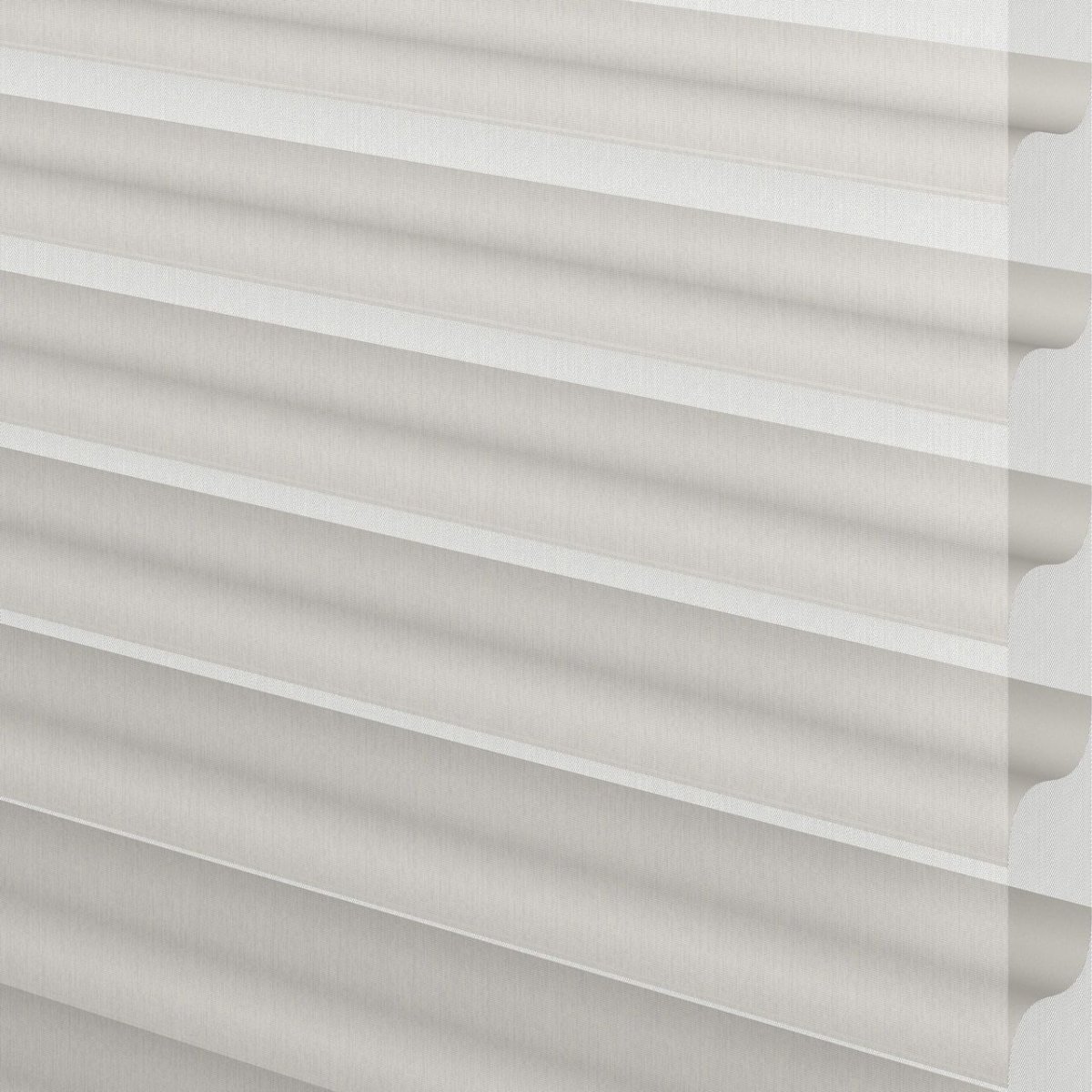 Turtledove - Image 3