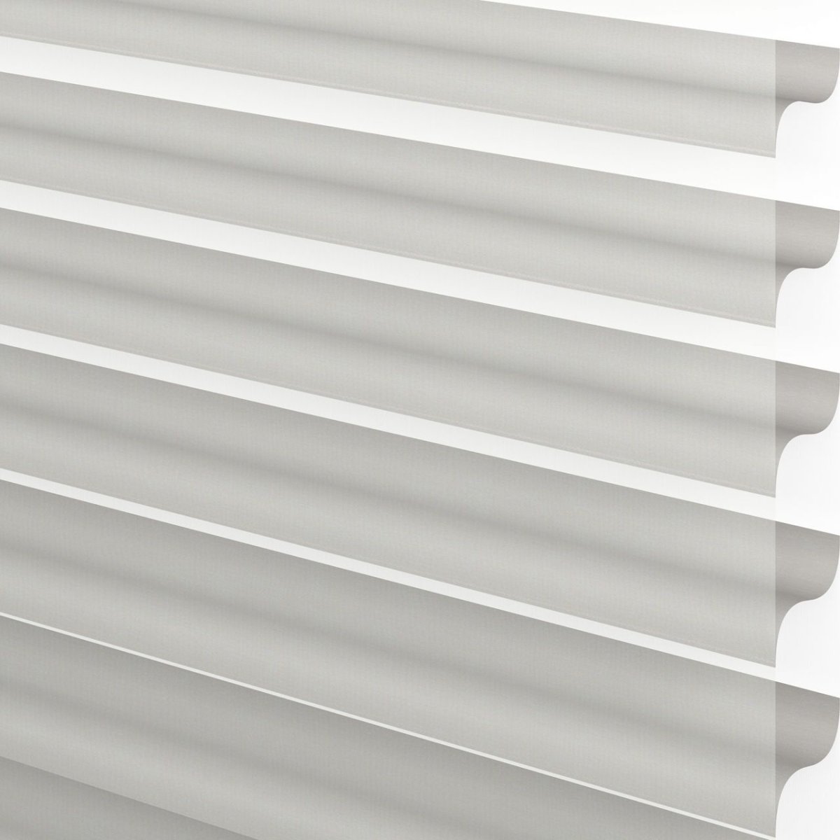 Turtledove - Image 3