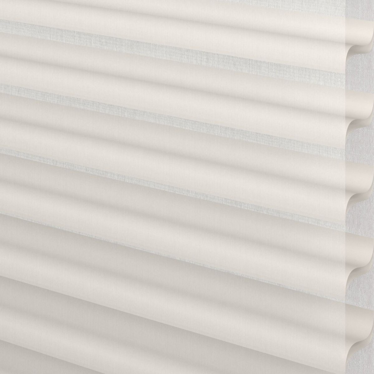 White Blush - Image 3