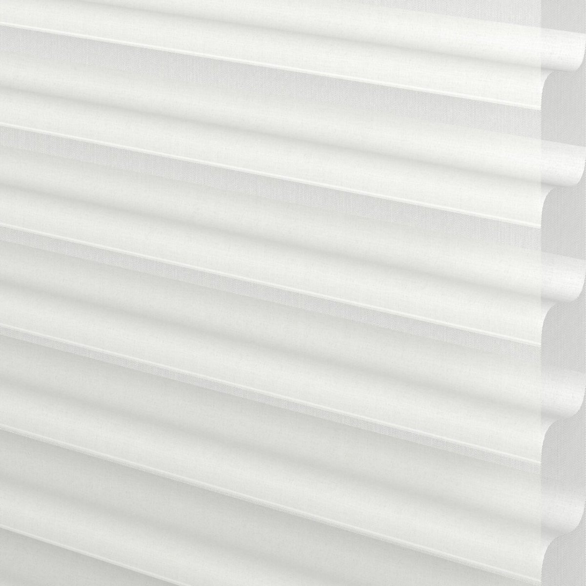 White Rabbit - Image 3