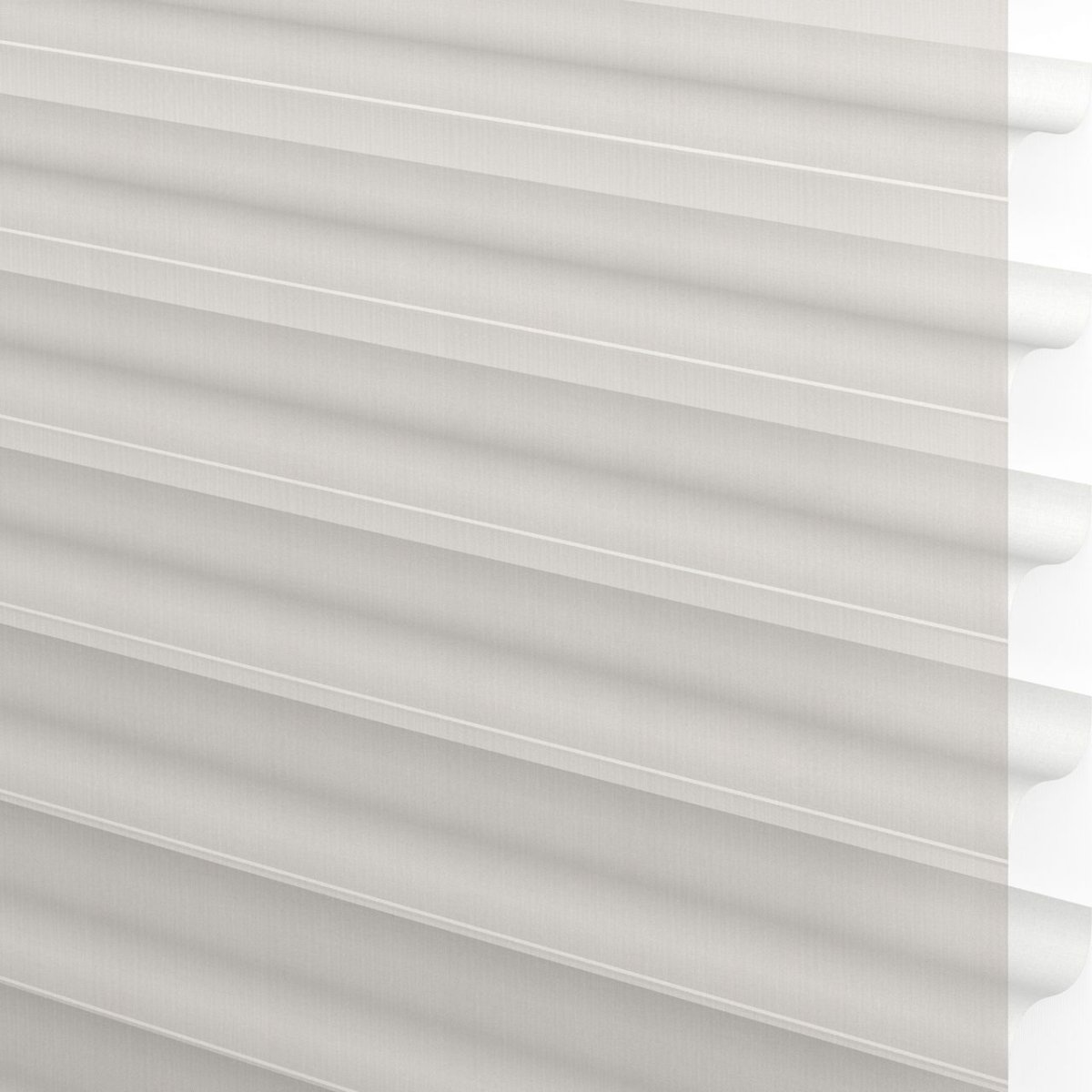 White Rabbit - Image 3